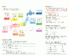 和心WACOCOROマスクケース